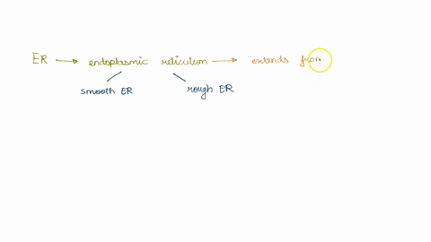 which-of-the-following-statements-about-the-er-is-false-proteins-to-be-delivered-to-the-er-lumen-are-synthesized-on-smooth-er-the-er-is-the-major-site-for-new-membrane-synthesis-in-the-cell-49765