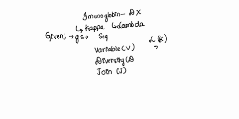 the-immunoglobulin-light-chain-does-not-have-a-d-segment-in-humans-there-are-two-different-possible-light-chain-proteins-termed-kappa-and-lambda-assume-that-there-are-35-v-segments-and-5-j-s-12399
