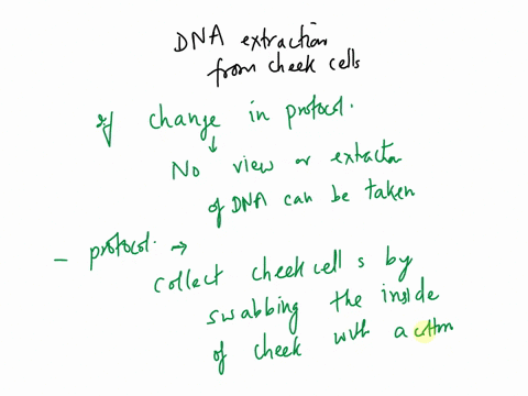 7-would-you-be-able-to-extract-and-view-dna-from-your-cheek-cells-if-the-order-of-the-procedure-were-changed-why-or-why-not-12015