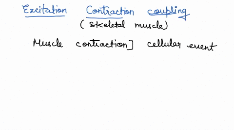 describe-excitation-contraction-coupling-in-skeletal-muscle-cell-contraction-71338