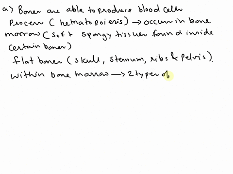 1bones-support-the-bodyfacilitate-movementand-protect-internal-organsthese-functions-are-more-well-knownin-this-question-please-explain-how-bones-are-able-to-a-produce-blood-cells4-pointswhi-09666