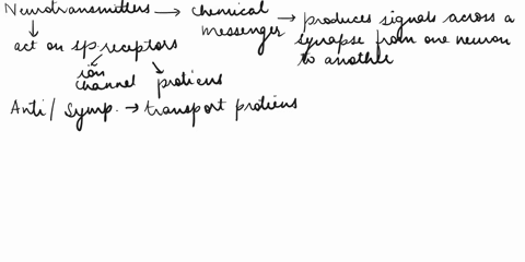 through-which-type-of-ion-channels-do-neurotransmitters-usually-act-symporters-antiporters-ligand-gated-ion-channels-voltage-gated-ion-channels-abc-transporters-13994