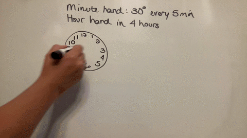 the-minute-hand-of-a-clock-moves-30-every-5-minby-what-anglewill-the-hour-angle-move-in-4-hours-72958
