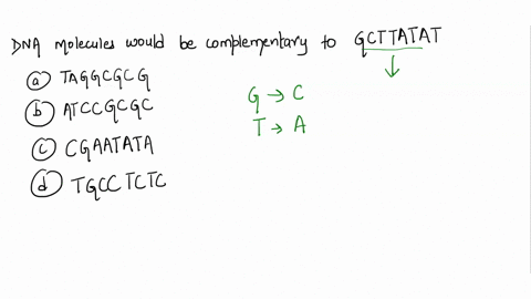 which-of-the-following-sequences-on-a-dna-molecule-would-be-complementary-to-gcttatat-a-taggcgcg-b-a-37906