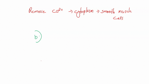 which-of-the-following-is-not-mechanism-to-remove-calcium-from-the-cytoplasm-of-smooth-muscle-cells-select-one-aa-calcium-atpase-in-the-membrane-of-the-sarcoplasmic-reticulum-calcium-sodium-48662