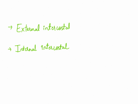 during-inhalation-________-muscles-contract-to-elevate-the-ribs-during-forced-exhalation-________-muscles-contract-to-depress-the-ribs-internal-intercostals-external-intercostals-rectus-abdo-02503