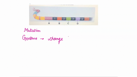 in-a-strain-of-bacteriaa-mutation-changes-the-sequence-of-repeat-2-in-the-crispr-gene-see-figure-how-will-this-affect-bacterial-immunity-this-is-an-analysis-question-because-you-have-to-brea-54397