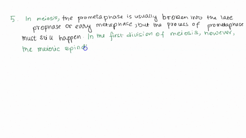 prometaphase-of-mitosis-the-end-of-prophase-just-before-metaphase-s-in-prometaphase_-the-nuclear-the-mitotic-cvents-t0-membrane-literally-disappears-which-allows-the-rest-of-occur-remove-the-61066