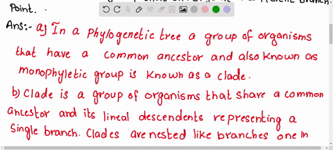 describe-how-a-clade-relates-to-monophyletic-group-a-clades-vary-in-size-depending-on-the-number-of-87886