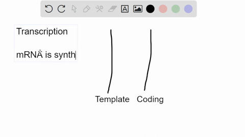 transcription-of-part-of-dna-molecule-with-nucleotide-sequence-of-aaacaactt-template-strand-results-in-mrna-molecule-with-the-complementaz-sequence-ogggagaacc-uuuguugaa-cccacctcc-aaacaactt-o-63962