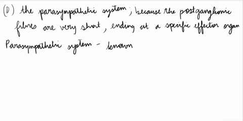 1-which-would-be-more-likely-to-have-an-individualized-specific-effect-in-the-body-the-sympathetic-system-or-the-parasympathetic-system-a-the-sympathetic-because-it-stimulates-the-skeletal-m-23555