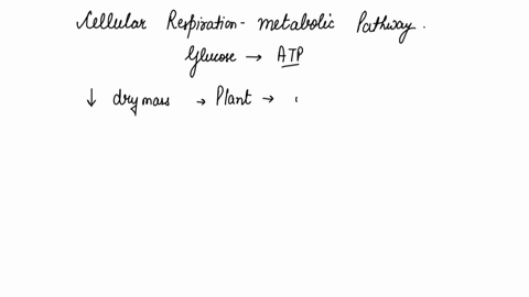 which-physiological-adaptation-would-decrease-the-process-of-transpiration-in-a-plant-a-growth-of-an-extensive-root-structure-b-development-of-the-ability-to-bind-metals-to-roots-cells-c-dev-22832