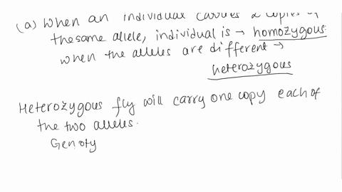the-fruit-fly-drosophila-has-either-long-wings-or-vestigial-wings-as-shown-in-figure-2-below-figure-2-k-long-winged-fly-vestigial-winged-ily-the-size-of-the-wings-is-determined-by-a-pair-of-01435