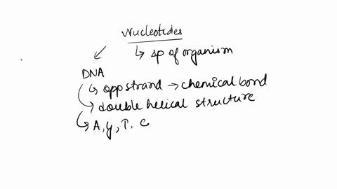 what-can-the-number-of-nucleotide-differences-between-two-genes-like-these-tell-you-about-how-closely-related-two-different-species-are-explain-your-reasoning-34393