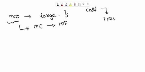 identify-the-five-functions-of-the-respiratory-system-26974