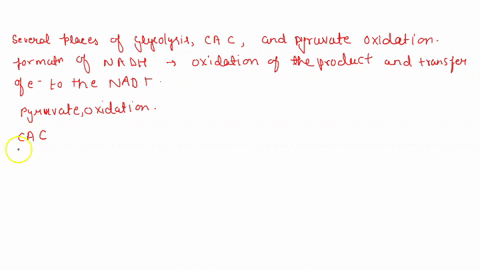 1-where-does-the-nadh-that-carries-high-energy-electrons-to-the-electron-transfer-chain-come-from-group-of-answer-choices-pyruvate-oxidation-and-citric-acid-cycle-glycolysis-and-pyruvate-oxi-74558