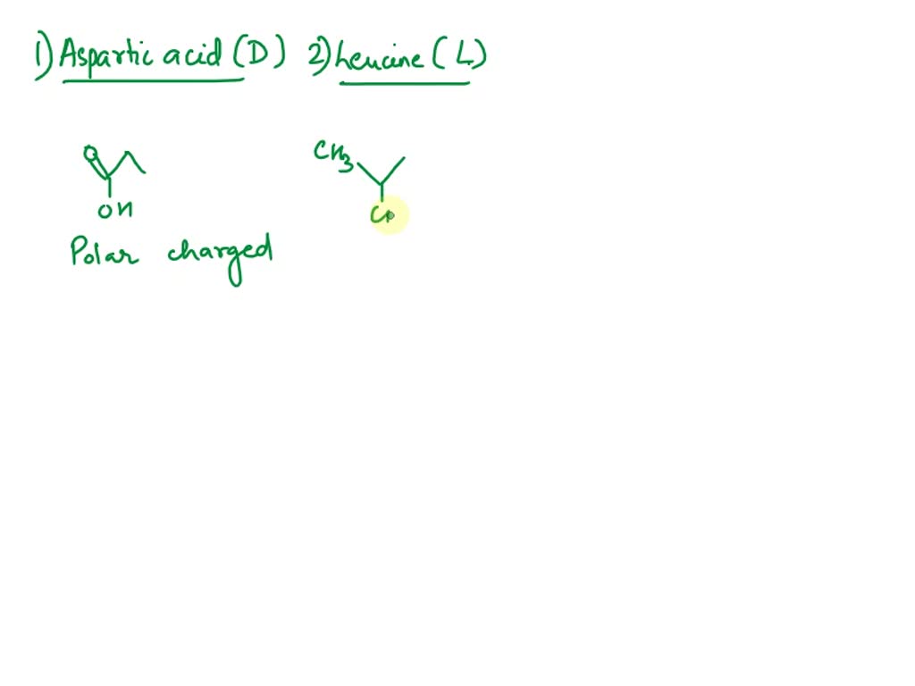 SOLVED: Draw the structure of the Aspartic Acid (D), Leucine (L), and ...