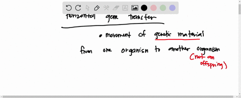 a-bacterium-takes-in-dna-from-a-bacteriophage-bacterial-virus-and-then-incorporates-that-dna-into-its-genome-what-process-is-this-choose-one-a-transformation-b-transduction-c-transposition-d-26329