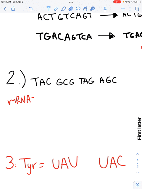 1-a-what-kind-of-mutation-took-place-in-the-following-sample-of-a-double-stranded-piece-of-dna-a-c-t-g-t-c-a-g-t-turned-into-a-c-t-g-g-t-a-t-c-a-g-t-t-g-a-c-a-g-t-c-a-t-g-a-c-c-a-t-a-g-t-c-a-63028