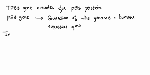 if-cell-is-heterozygous-for-loss-of-function-mutation-that-cause-the-protein-tp53-encodes-for-to-bind-tightly-and-constitutively-to-the-dna-of-its-target-genes-then-how-would-this-mutation-a-20616