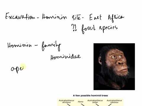 huma-equto-submit-tbe-following-assignment-by-uploading-doc_-docx-or-pdf-fike-only-i-you-as-paleoanthropologist-planning-excavalion-j-hominin-site-in-east-alrica-which-dalcd-t0-about-million-71931