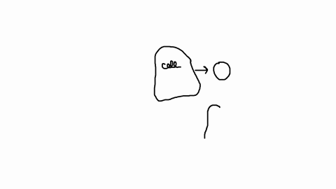 what-is-the-process-called-when-a-cell-eats-a-large-molecule