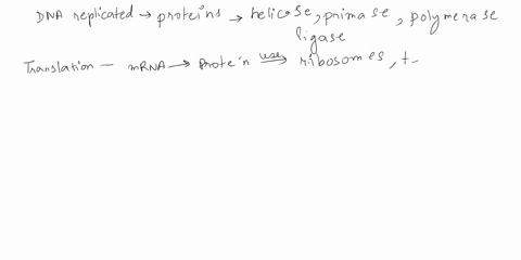 1-explain-the-process-of-dna-replication-be-sure-to-list-all-of-the-proteins-involved-and-what-each-does-also-define-and-compare-how-replication-proceeds-for-the-leading-and-lagging-strands-80397