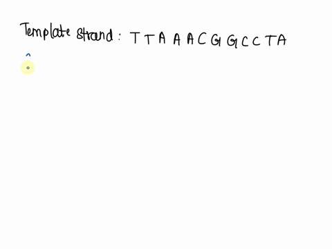 what-will-be-the-mrna-sequence-transcribed-from-a-ttaaacggccta-template-88102