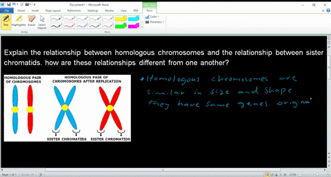 explain-the-relationship-between-homologous-chromosomes-and-the-relationship-between-sister-chromatids-how-are-these-relationships-different-from-one-another-32862