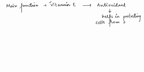 the-main-function-of-vitamin-e-in-the-body-is-to-act-as-an-____-08272