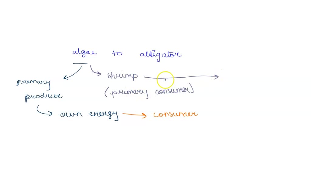 solved-how-are-food-chains-and-food-webs-related-date-part-il