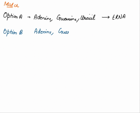 contains-adenine-guanine-uracil-cytosine-and-ribose-has-anticodons-involved-in-transcription-contalns-adenine-guanine-uracil-cytosine-and-ribose-has-codons-made-during-transcription-involved-07838