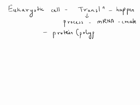 where-in-a-eukaryotic-cell-does-the-process-of-translation-take-place-in-the-cytoplasm-in-association-with-the-mitochondria-in-the-cytoplasm-in-association-with-the-ribosomes-in-the-nucleus-23954