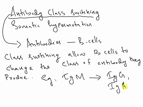 what-are-the-advantages-of-antibody-class-switching-and-somatic-hypermutation-in-producing-b-cells-that-are-better-able-to-defend-against-invaders-28005