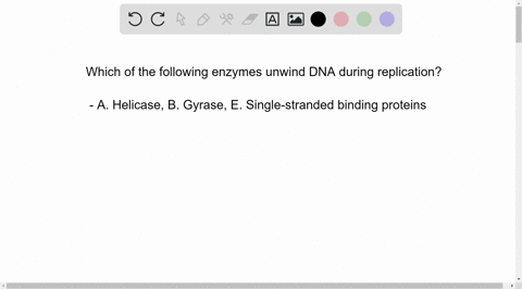 4-which-of-the-following-enzymes-do-aid-in-unwinding-of-dna-for-replication-select-one-or-more-ahelicase-bgyrase-cprimase-dsynthetase-esingle-stranded-binding-proteins-ftransferase-i-know-he-79001
