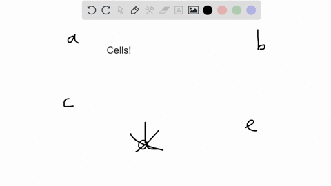which-of-the-following-is-true-a-neurons-generally-have-one-axon-and-one-dendrite-b-skelctal-muscle-cells-have-one-centrally-located-nucleus-skeletal-muscle-cells-are-called-fibers-d-ligamen-31936