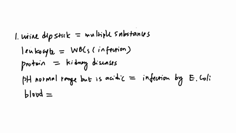 case-study-1-history-patient-1-a-24-year-old-female-reports-increased-frequency-of-urination-over-the-past-48-hours-with-discomfort-and-urgency-to-urinate-no-fever-or-increased-thirst-reported-temp-re