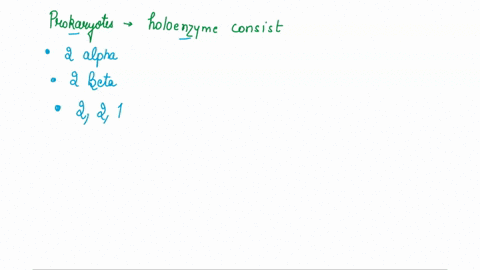 in-prokaryotes-the-rna-polymerase-holoenzyme-consists-of-multiple-choice-the-core-polymerase-plus-two-alpha-subunits-the-core-polymerase-plus-two-beta-subunits-the-core-polymerase-plus-two-a-40567