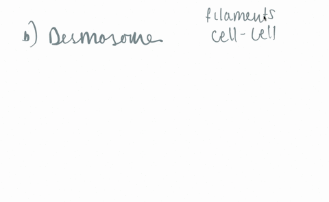 which-type-of-cell-to-cell-junction-joins-intermediate-filaments-keratins-in-one-cell-to-the-basal-lamina-welding-down-the-cells-of-the-epithelia-and-providing-tensile-strength-71973