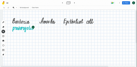 comparing-bacteria-amoeba-and-human-epithelial-cells-name-two-cell-componentsparts-that-bacteria-amoeba-and-human-epithelial-cells-have-in-common-39968
