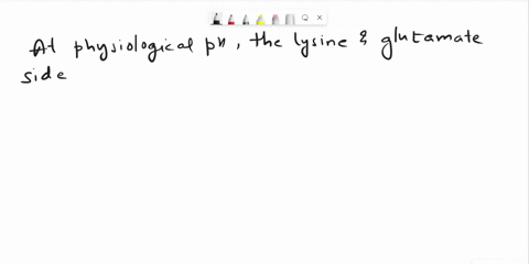 question-89-1-point-at-physiological-ph-the-lysine-and-glutamate-side-chains-could-stabilize-a-protein-tertiary-structure-by-participating-in-peptide-bonds-hydrogen-bonds-hydrophobic-interac-28273