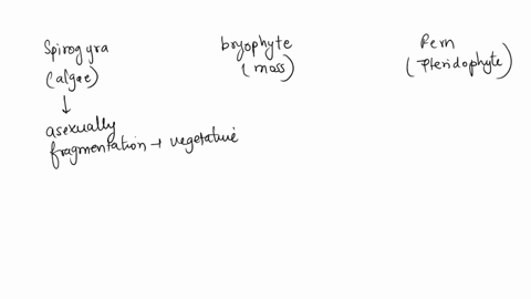 write-the-division-of-given-plantsirrespective-of-differences-in-their-body-structurewrite-what-is-the-similarity-between-them-42396