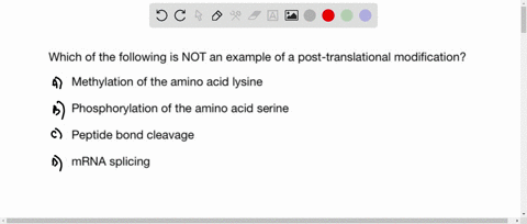 which-of-the-following-is-not-an-example-of-a-post-translational-modification-methylation-of-the-amino-acid-lysine-phosphorylation-of-the-amino-acid-serine-peptide-bond-cleavage-mrna-splicin-25031