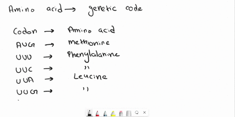 given-the-dna-template-strand-3-cgatgagcc-5-write-tlte-amino-acid-sequence-in-the-n-terminal-to-c-terminal-direction-note-enter-the-amino-acids-using-their-ihree-letter-designations-put-a-hy-01794