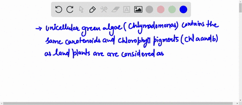 which-of-the-following-statements-of-plants-is-true-a-the-most-recent-common-ancestor-of-all-land-plants-was-a-unicellular-algae-b-all-plants-that-make-seeds-also-make-flowers-c-a-mature-see-45237