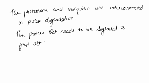 describe-the-role-of-proteasome-and-ubiquitin-in-controlled-protein-degradation-90975