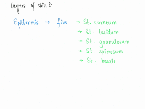 the-outer-layer-your-skin-the-epidermis-keratinized-stratified-squamous-epithelium-the-epidermis-made-up-0f-4-5-layers-with-different-types-of-cells-for-the-image-and-diagram-below-label-eac-73566