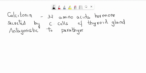 the-hormone-calcitonin-is-released-from-the-thyroid-gland-in-response-to-increased-levels-of-calcium-lons-in-the-blood-if-blood-calcium-levels-are-controlled-by-negative-feedback-what-effect-77341