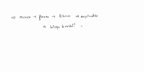 please-help-q1-select-true-or-false-for-the-followings-1-a-muscle-that-flexes-the-elbow-and-supinates-the-hand-is-the-biceps-brachii-2-between-the-skin-and-the-muscle-mass-is-a-layer-of-conn-34054