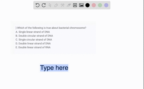 which-of-the-following-is-true-about-bacterial-chromosome-a-single-linear-strand-of-dna-b-double-circular-strand-of-dna-c-single-circular-strand-of-dna-d-double-linear-strand-of-dna-e-double-49595